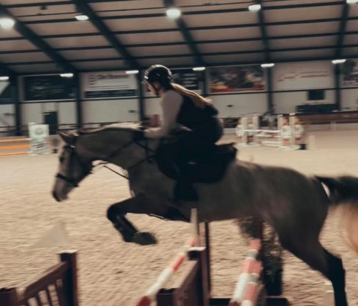 7-jarige merrie van Chaiton f Z, Dieren en Toebehoren, Paarden, Merrie, Z, 170 tot 175 cm, Springpaard