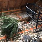 Palm plastic, Huis en Inrichting, Kamerplanten, Ophalen, Palm