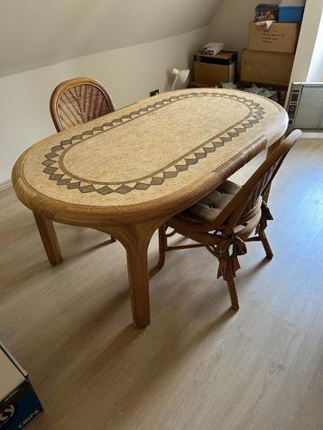 Rotan tafel, 150 à 200 cm, Cinq personnes ou plus, Enlèvement, Utilisé