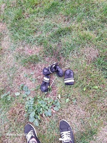 Chaussons pour chien  beschikbaar voor biedingen