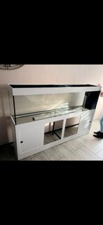Monoblock-aquarium, Dieren en Toebehoren, Ophalen, Gebruikt