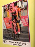 wielerkaart 2023  team giro  visma  primoz roglic  signe, Verzenden, Zo goed als nieuw