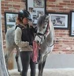 Halve stal paard gezocht / ruiter aangeboden, Dieren en Toebehoren, Paarden, Gechipt, Zadelmak, 7 tot 10 jaar, Meerdere dieren
