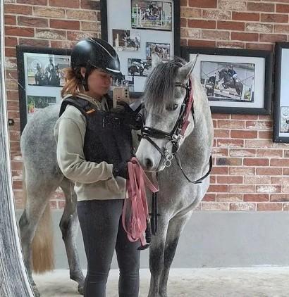 Halve stal paard gezocht / ruiter aangeboden, Dieren en Toebehoren, Paarden, Meerdere dieren, Zadelmak, 165 tot 170 cm, 7 tot 10 jaar