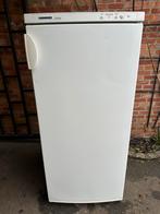 Diepvries liebherr super eco 261 liter, Elektronische apparatuur, Ophalen of Verzenden, Zo goed als nieuw