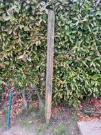 houten weidepalen, Tuin en Terras, Palen, Balken en Planken, Ophalen, Nieuw, Minder dan 180 cm, Palen