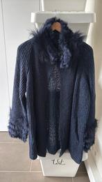 Trui., Kleding | Dames, Ophalen of Verzenden, Zo goed als nieuw