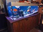 Aquarium 2 meter, Dieren en Toebehoren, Vissen | Aquaria en Toebehoren, Ophalen of Verzenden, Zo goed als nieuw