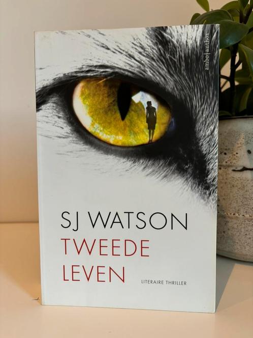S.J. Watson - Tweede leven, Boeken, Thrillers, Gelezen, Ophalen of Verzenden