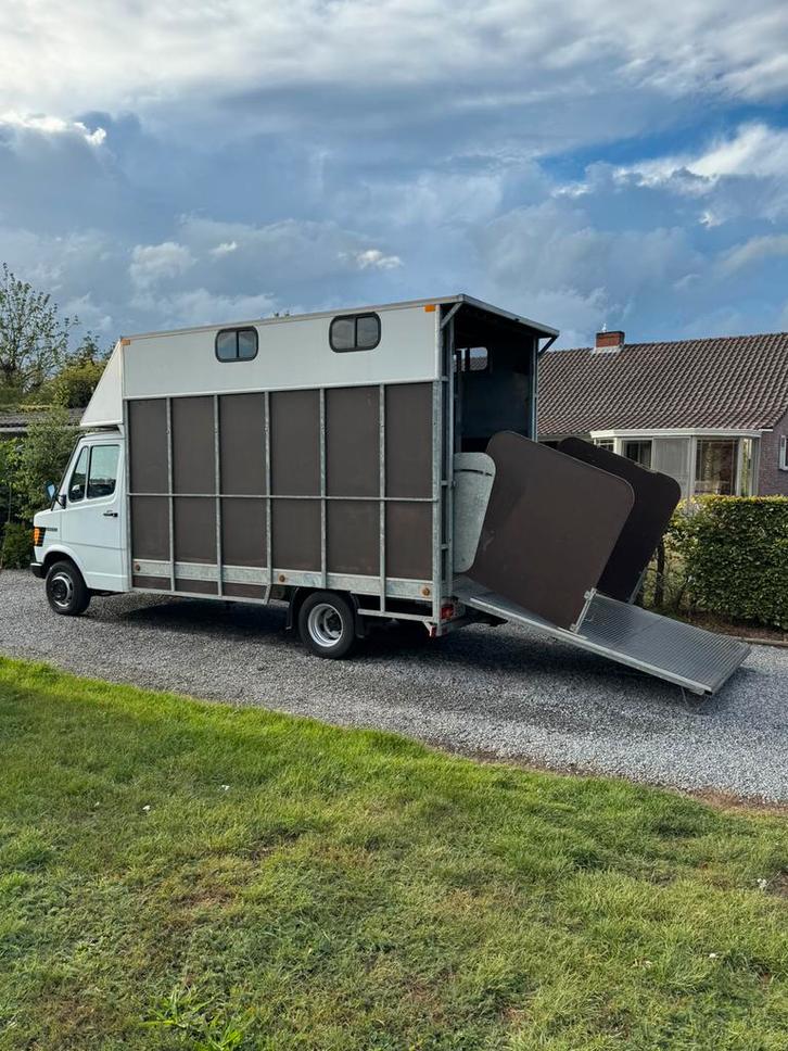 Paarden camion vrachtwagen bestelwagen, Dieren en Toebehoren, Paarden en Pony's | Trailers en Aanhangwagens, Gebruikt, Ophalen
