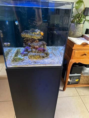 Waterbox 25g peninsula aquarium beschikbaar voor biedingen