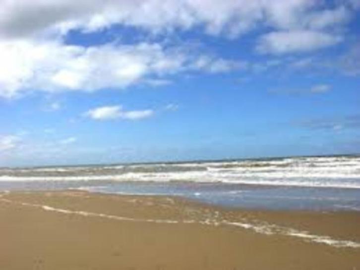 GEZOCHT vakantieappartement OOSTENDE, Vakantie, Vakantiehuizen | België, Antwerpen of Vlaanderen, Appartement, Stad, Aan zee, 1 slaapkamer