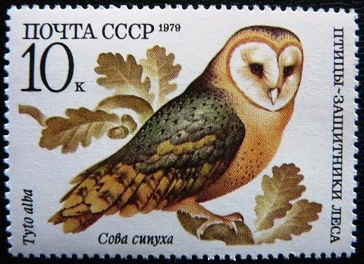 Sovjetunie - Kerkuil, Ophalen of Verzenden, Postfris, Dier of Natuur