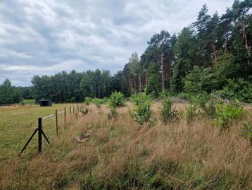 Bosgrond 25 Are zutendaal