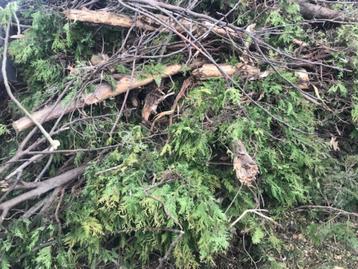 dechets verts beschikbaar voor biedingen