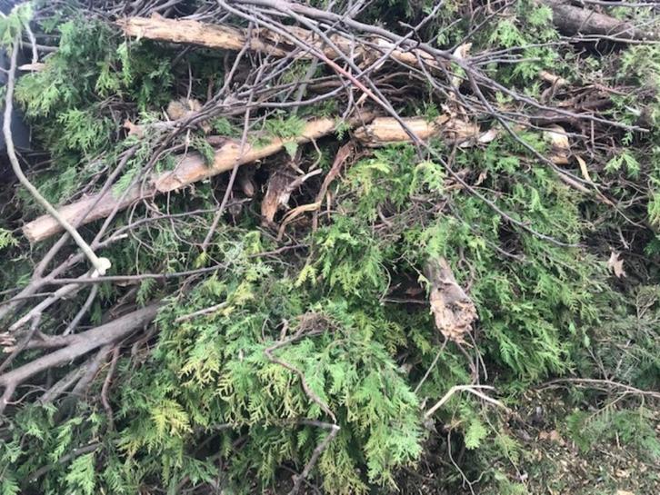 dechets verts, Hobby en Vrije tijd, Overige Hobby en Vrije tijd, Zo goed als nieuw, Ophalen