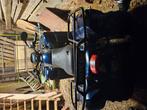 Artic cat 250, Motoren