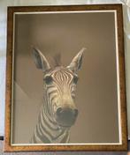 Ingelijste tekening zebra van Sia 72x56, Antiek en Kunst, Ophalen