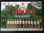 wielerposter  1981 team famcucini  francesco moser, Verzenden, Zo goed als nieuw
