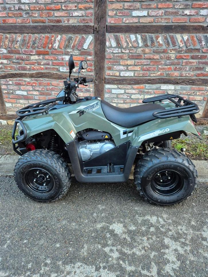 Quad MXU 300, Motoren, Quads en Trikes, 12 t/m 35 kW, 1 cilinder, Ophalen