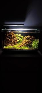 Nano Aquarium 30 liter, Dieren en Toebehoren, Ophalen