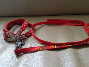 Nieuwe rode hondenleiband beschikbaar voor biedingen