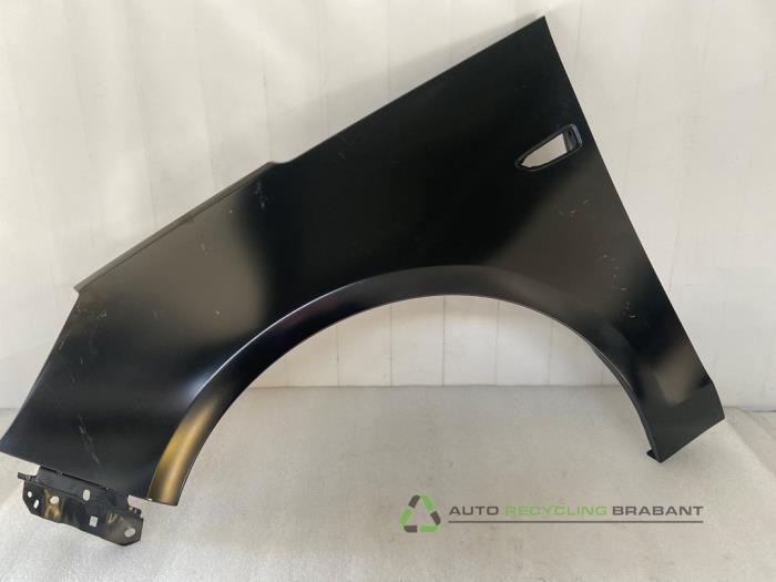 Scherm links-voor van een Opel Zafira, Auto-onderdelen, Carrosserie, Opel, Gebruikt, 3 maanden garantie, Ophalen of Verzenden