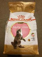 Royal Canin kitten Maine coon 4kg, Enlèvement ou Envoi