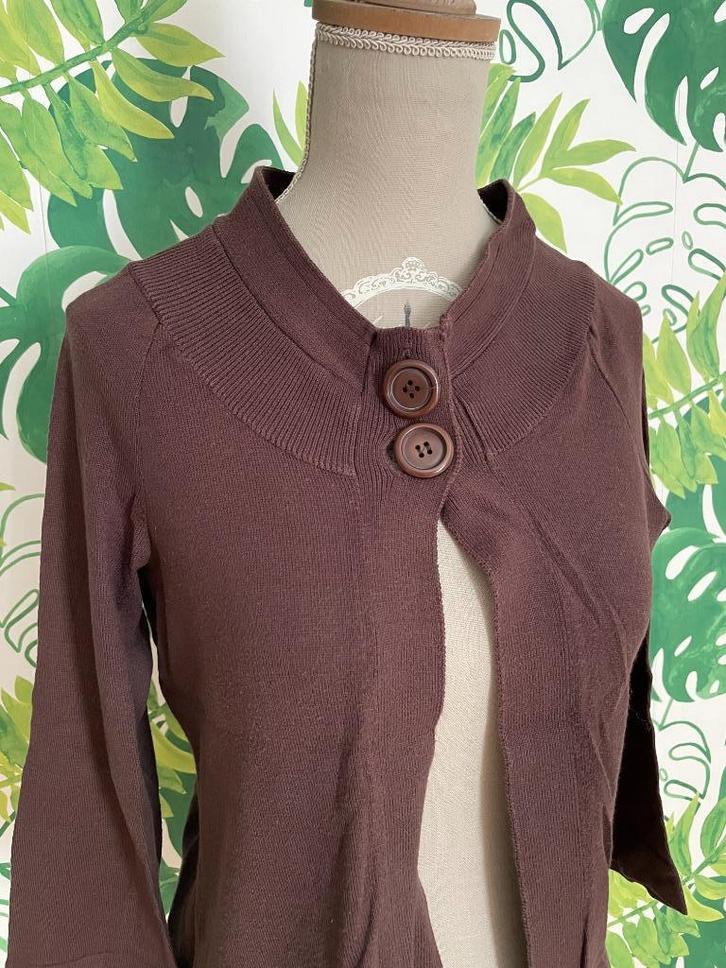 mooi truitje - Russo & Conti - M, Kleding | Dames, Truien en Vesten, Zo goed als nieuw, Maat 38/40 (M), Bruin, Ophalen of Verzenden