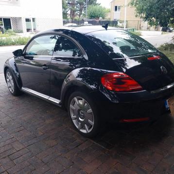 Beetle Design  beschikbaar voor biedingen