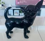 Beeld chihuaua zwart, Ophalen, Zo goed als nieuw