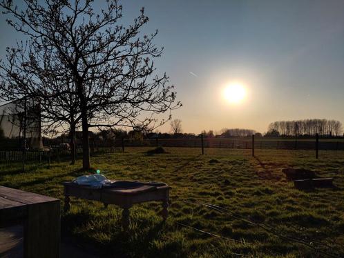 Therapeutisch tuinieren, Tuin en Terras, Planten | Tuinplanten, Ophalen