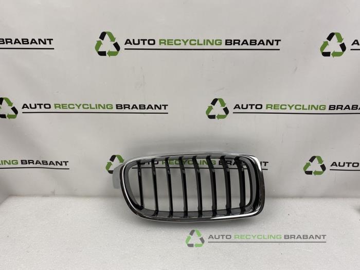 Calandre d'un BMW 3-Serie, Autos : Pièces & Accessoires, -, 3 mois de garantie, Utilisé, -