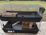 Konijnen of cavia hokken te koop, Enlèvement, Comme neuf, Niche, Cobaye