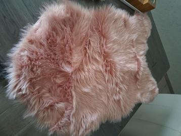 roze schapevacht beschikbaar voor biedingen