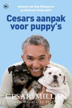 Cesars aanpak voor puppy' s, Boeken, Dieren en Huisdieren, Ophalen, Zo goed als nieuw, Honden, Cesar Millan