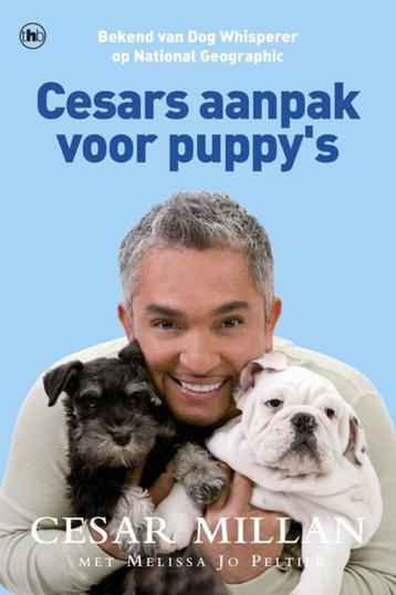Cesars aanpak voor puppy' s beschikbaar voor biedingen