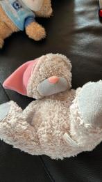 Knuffel beer, Ophalen, Zo goed als nieuw, Beer