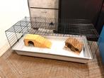 Nieuwe Knaagdierenkooi met accessoires, Dieren en Toebehoren, Ophalen, Zo goed als nieuw, Kooi, Cavia