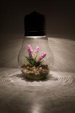 Belle lampe décorative - pierres et plante en ampoule, Maison & Meubles, Comme neuf, Ampoule, Decoratief, Enlèvement ou Envoi