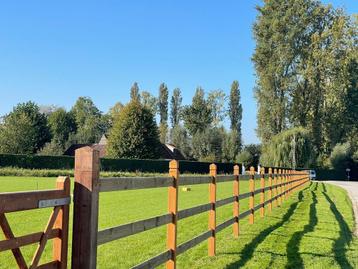 Paardenomheining met 2 of 3 liggers. OP VOORRAAD ! beschikbaar voor biedingen