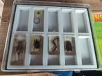 Lot insectes dans résine. Tb etat, Collections, Enlèvement ou Envoi