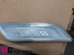 DAF Interieurlamp, hemelbekleding - 2313446N Interieurlamp,, Auto-onderdelen, Gebruikt, DAF, Verlichting