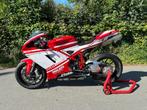 Ducati 848 circuitmotor met motorschade, Motoren, Motoren | Ducati, 2 cilinders, Super Sport, Particulier, Meer dan 35 kW
