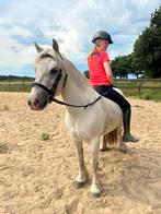 Super brave kinderpony, Dieren en Toebehoren, Merrie, C pony (1.27m tot 1.37m), Recreatiepony, 7 tot 10 jaar