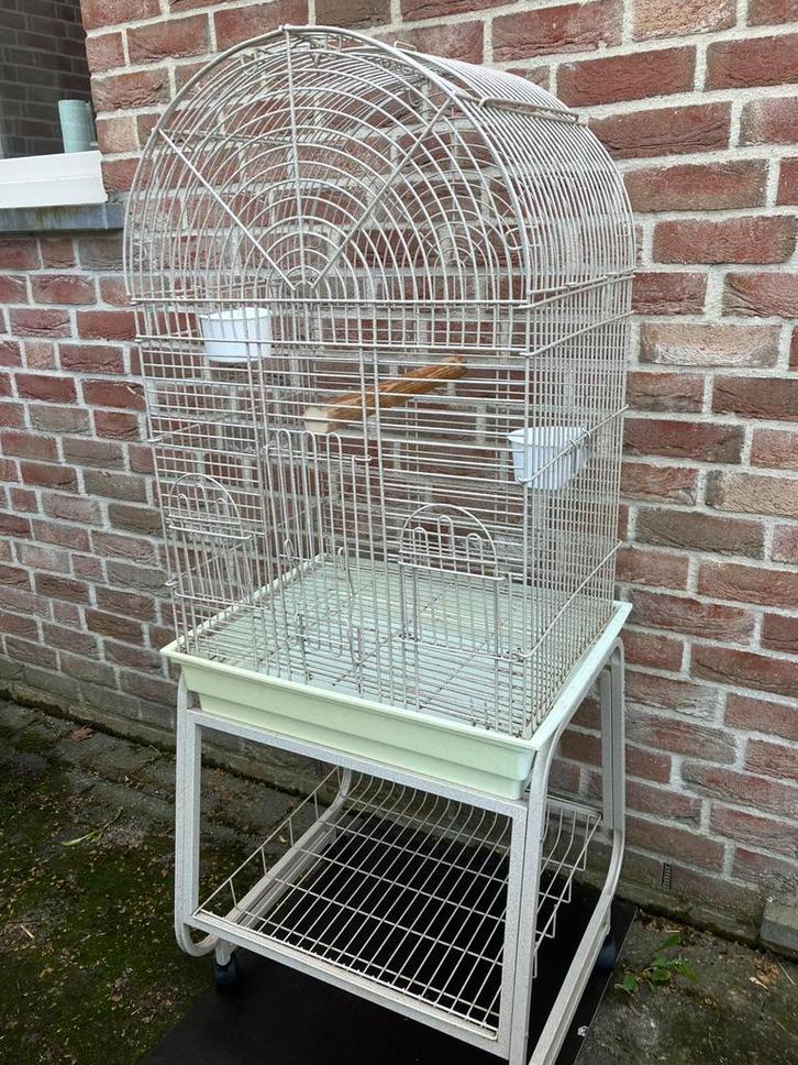 GROENE INGERICHTE PAPEGAAIENKOOI NU 75 EURO, Dieren en Toebehoren, Vogels | Hokken en Kooien, Zo goed als nieuw, Volière, Metaal