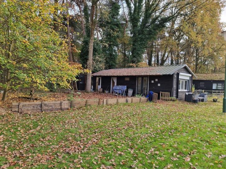 Chalet gelegen aan bosrand op ruime kavel met vrij uitzicht, Immo, Buitenverblijven te koop, Antwerpen (stad), Chalet, Verkoop zonder makelaar