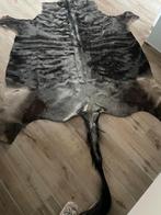 Orginele huid van gnoe (wildebeest) met certificaat, Enlèvement, Comme neuf