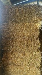 Kleine pakken stro, Animaux & Accessoires, Nourriture pour Animaux, Enlèvement, Autres espèces