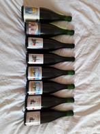 8 flessen cantillon, Ophalen of Verzenden, Nieuw